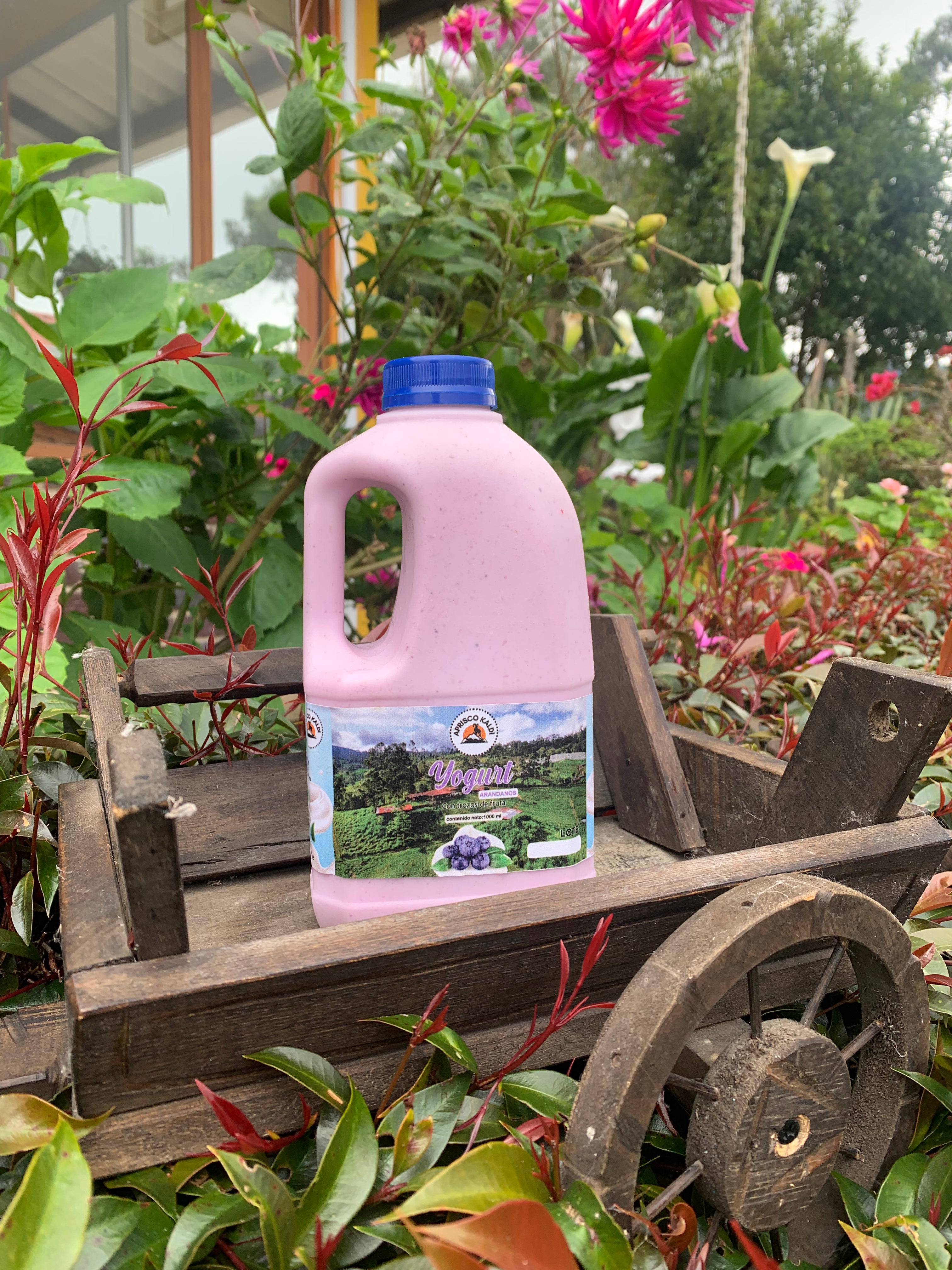Yogur Bebible 1000ML