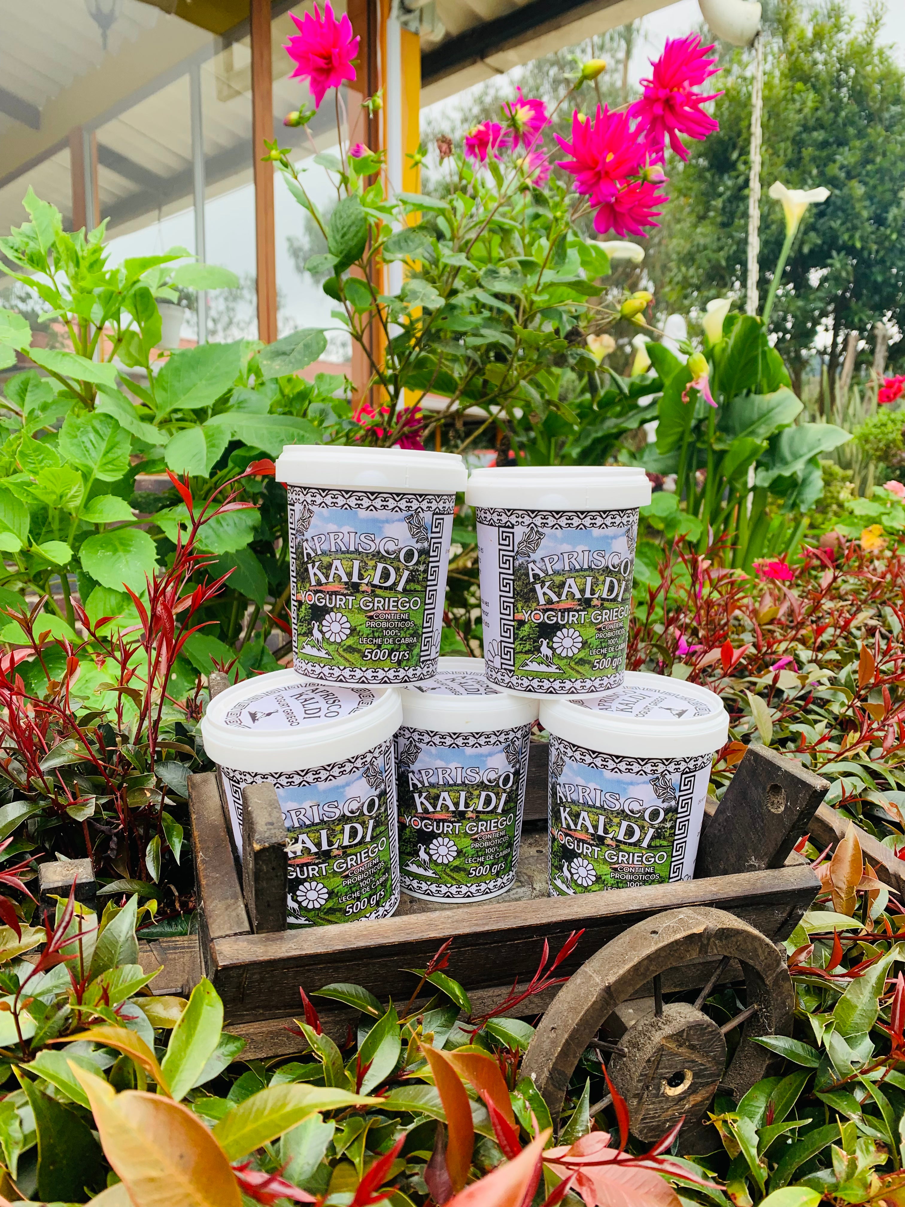 yogur griego